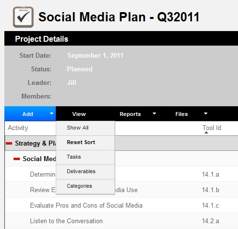 Managing a Marketing Project - Changing Activity View