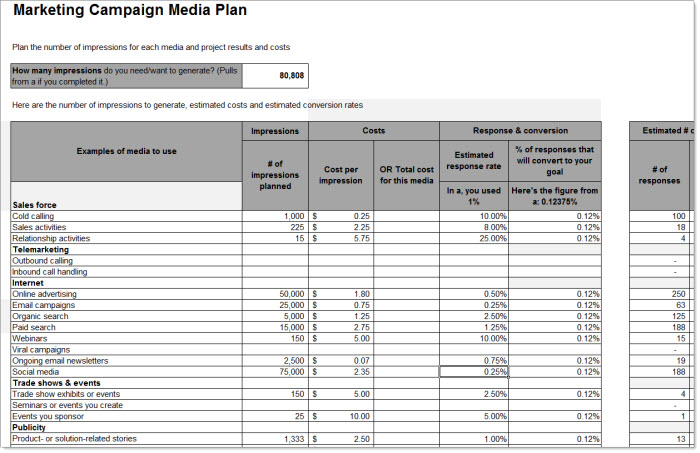 Using the Tools - Excel Spreadsheet - Marketing Campaign Media Plan